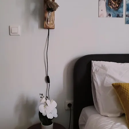 Apartament Cozy